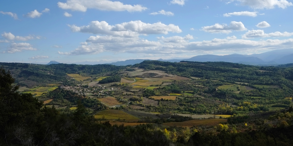 Terroir-1