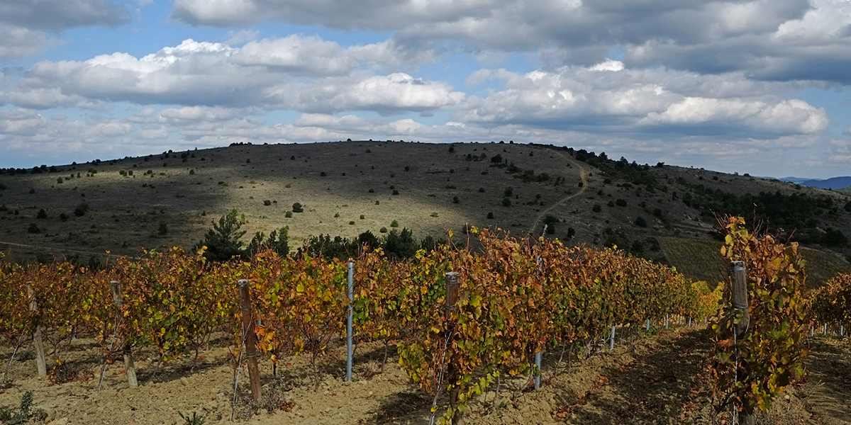 Terroir-2