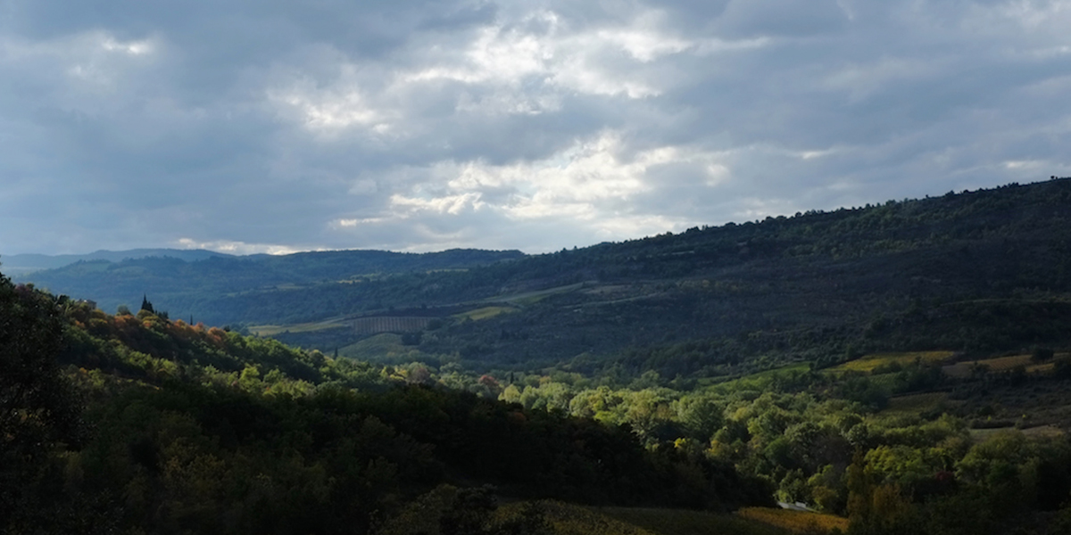 Terroir-4
